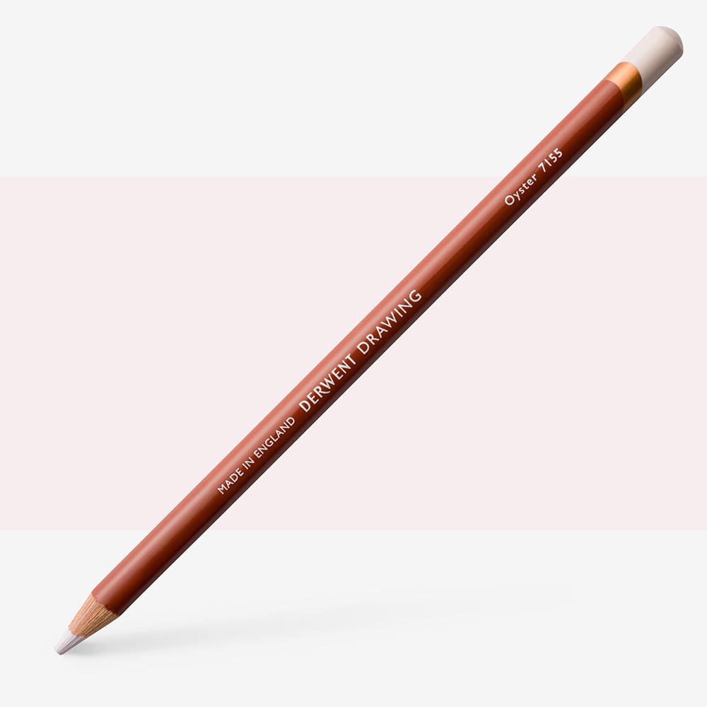 Drawing Pencil Oyster  