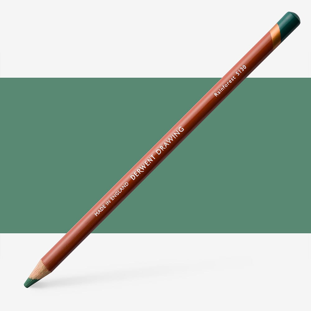 Drawing Pencil Rainforest  