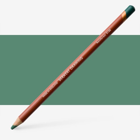 Drawing Pencil Rainforest  