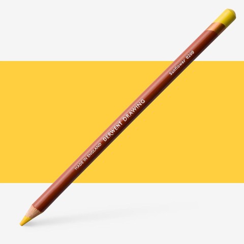 Drawing Pencil Sunflower  
