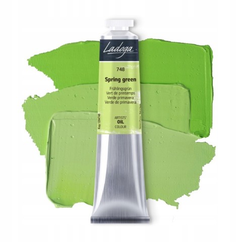 St. Petersburg Ladoga Yağlı Boya 46 ml 1204748 Spring Green